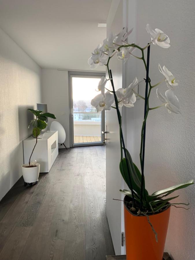 Central & Elegant Room In Μπίελ/Μπιένε Εξωτερικό φωτογραφία